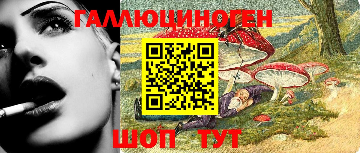 купить закладку  Псилоцибиновые грибы Psilocybe  Вход с VPN  Рыбинск 